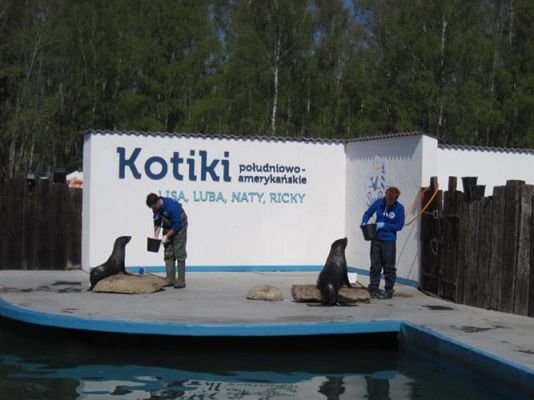 Grafika #28: 24.04.2014 - Wycieczka do Sea Parku w Sarbsku