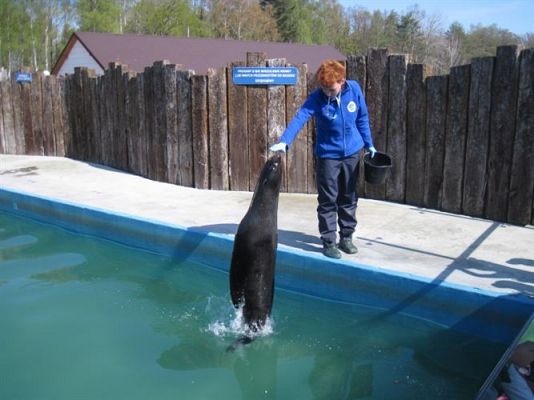 Grafika #29: 24.04.2014 - Wycieczka do Sea Parku w Sarbsku