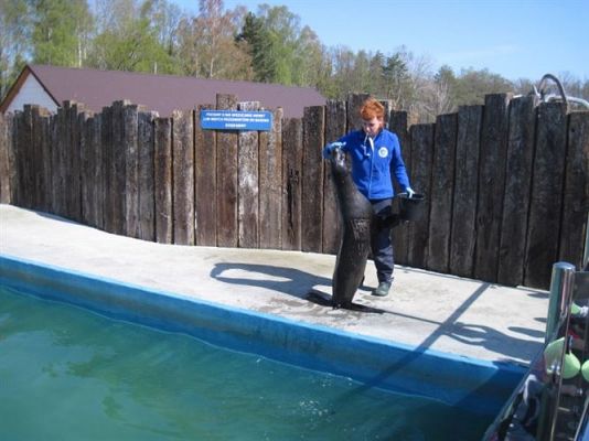 Grafika #30: 24.04.2014 - Wycieczka do Sea Parku w Sarbsku