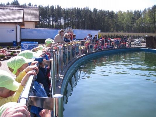 Grafika #33: 24.04.2014 - Wycieczka do Sea Parku w Sarbsku