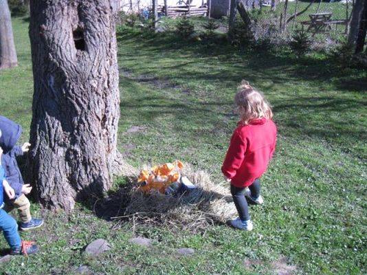 Grafika #63: 16.04.2014 - Wielkanocny Konkurs Edukacyjny