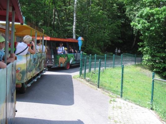 Grafika #5: 05.06.2014 - Wycieczka do ZOO cz. II