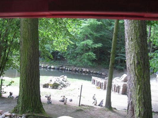 Grafika #8: 05.06.2014 - Wycieczka do ZOO cz. II