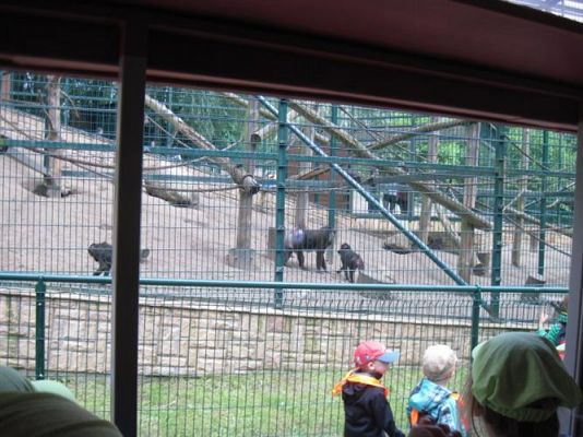 Grafika #10: 05.06.2014 - Wycieczka do ZOO cz. II