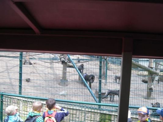 Grafika #11: 05.06.2014 - Wycieczka do ZOO cz. II