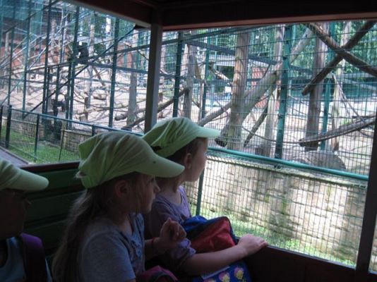 Grafika #12: 05.06.2014 - Wycieczka do ZOO cz. II