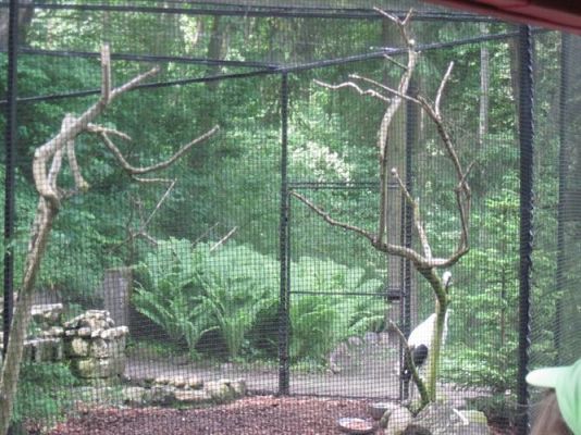 Grafika #18: 05.06.2014 - Wycieczka do ZOO cz. II