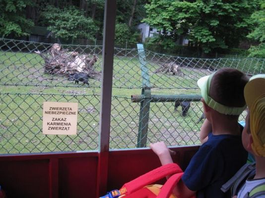 Grafika #20: 05.06.2014 - Wycieczka do ZOO cz. II