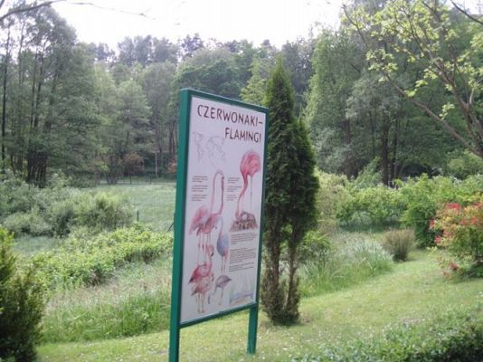 Grafika #22: 05.06.2014 - Wycieczka do ZOO cz. II