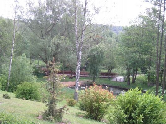 Grafika #23: 05.06.2014 - Wycieczka do ZOO cz. II