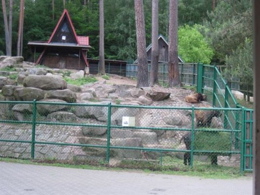 Grafika #25: 05.06.2014 - Wycieczka do ZOO cz. II