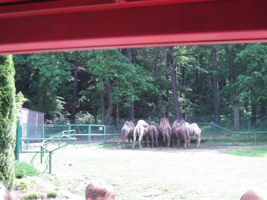 Grafika #30: 05.06.2014 - Wycieczka do ZOO cz. II