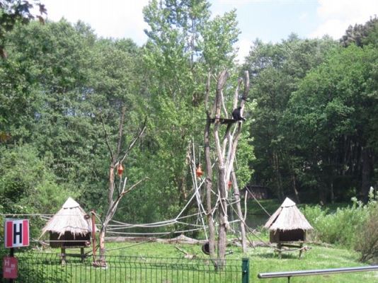 Grafika #31: 05.06.2014 - Wycieczka do ZOO cz. II