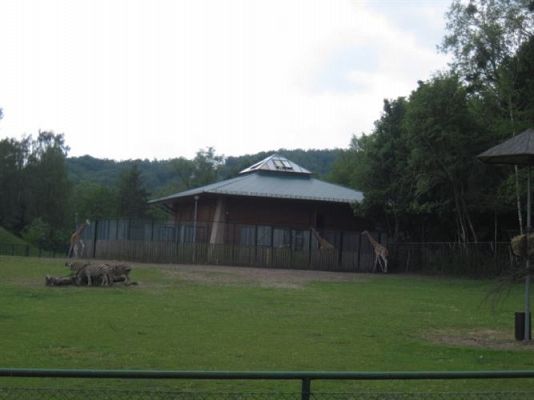 Grafika #36: 05.06.2014 - Wycieczka do ZOO cz. II