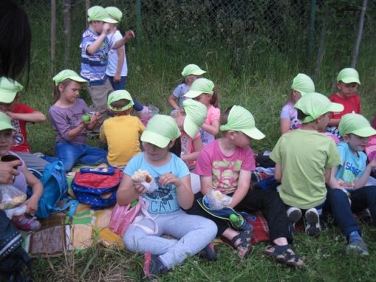 Grafika #54: 05.06.2014 - Wycieczka do ZOO cz. II