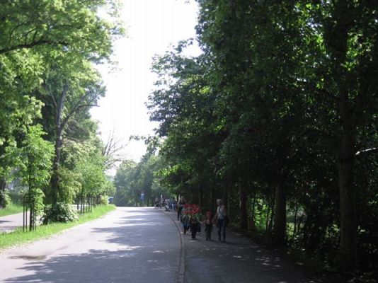 Grafika #18: 05.06.2014 - Wycieczka do ZOO cz. I