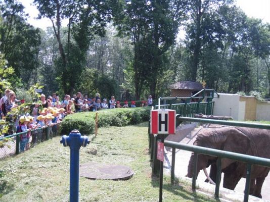 Grafika #30: 05.06.2014 - Wycieczka do ZOO cz. I