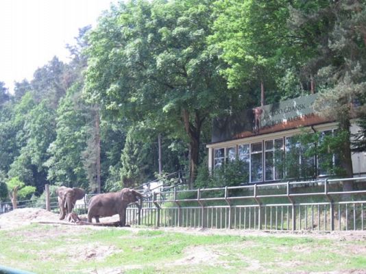 Grafika #66: 05.06.2014 - Wycieczka do ZOO cz. I
