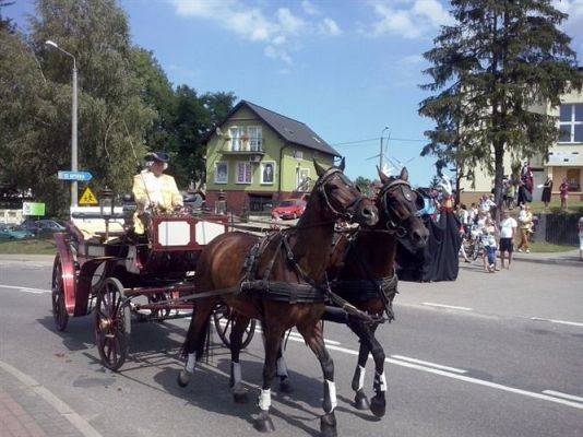 Grafika #17: 19.07.2014 - Parada - Dni Gminy Wicko