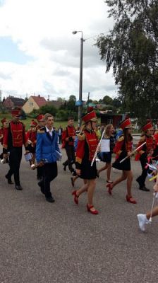 Grafika #8: 11.07.2015 - Parada - Dni Gminy Wicko