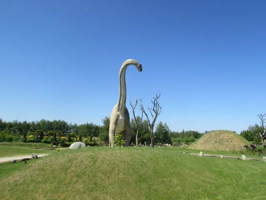 Grafika #8: 12.06.2015-Wycieczka do Parku Dinozaurów w Łebie cz. II