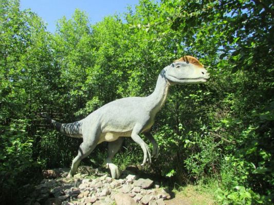 Grafika #45: 12.06.2015-Wycieczka do Parku Dinozaurów w Łebie cz. II