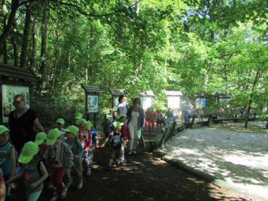 Grafika #18: 12.06.2015 - Wycieczka do Parku Dinozaurów w Łebie cz. I