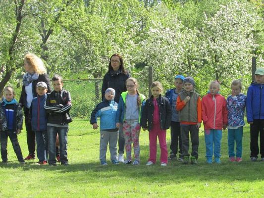 Grafika #1: 15.05.2015 - Spartakiada wiosenna