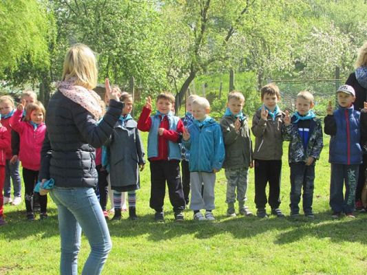 Grafika #2: 15.05.2015 - Spartakiada wiosenna