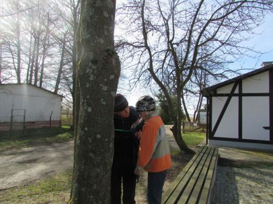 Grafika #6: 22.04.2015 - Warsztaty edukacyjno-przyrodnicze na Rąbce