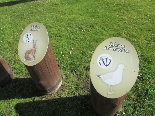 Grafika #23: 22.04.2015 - Warsztaty edukacyjno-przyrodnicze na Rąbce