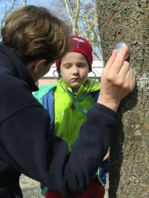 Grafika #30: 22.04.2015 - Warsztaty edukacyjno-przyrodnicze na Rąbce