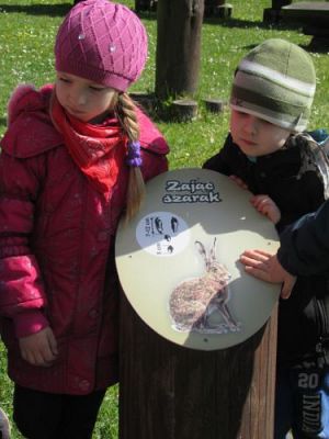 Grafika #44: 22.04.2015 - Warsztaty edukacyjno-przyrodnicze na Rąbce