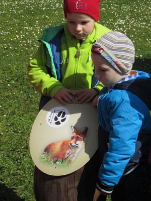 Grafika #45: 22.04.2015 - Warsztaty edukacyjno-przyrodnicze na Rąbce