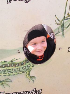 Grafika #49: 22.04.2015 - Warsztaty edukacyjno-przyrodnicze na Rąbce