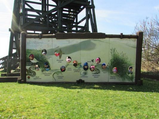 Grafika #54: 22.04.2015 - Warsztaty edukacyjno-przyrodnicze na Rąbce