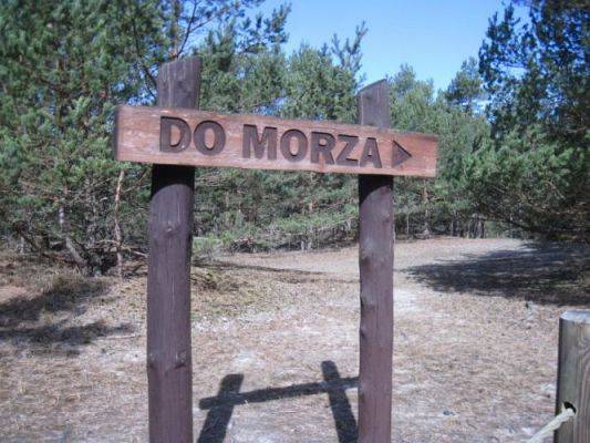 Grafika #6: 22.04.2015 - Wycieczka na plaże