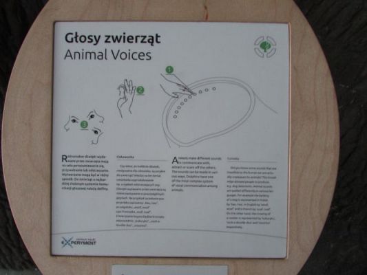 Grafika #23: 24.03.2015 - Wycieczka do Centrum Nauki w Gdyni cz. II