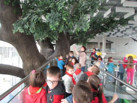 Grafika #24: 24.03.2015 - Wycieczka do Centrum Nauki w Gdyni cz. II