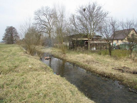 Grafika #38: 20.03.2015 - Żegnamy Panią Zimę