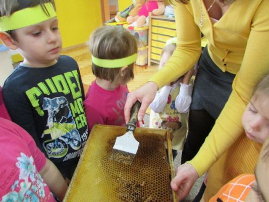 Grafika #50: 23.02.2015 - Dzień Miodu