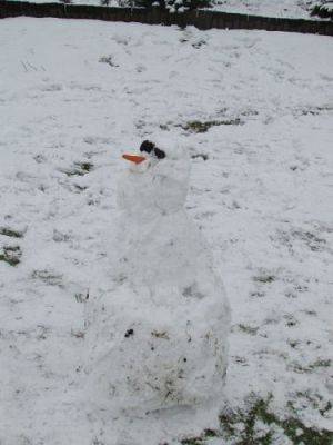 Grafika #11: 27.01.2015 - Zimowe zabawy na śniegu