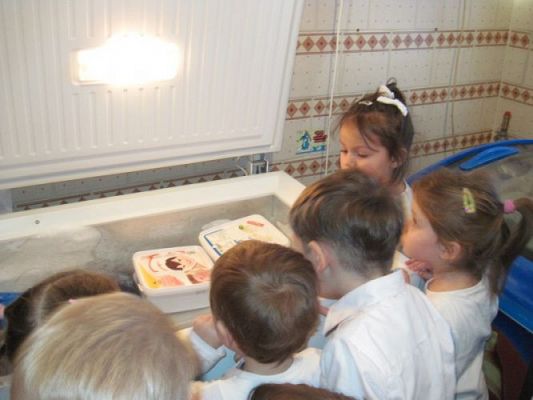 Grafika #13: 16.01.2015 - Zajęcia edukacyjne - Dzień Lodów