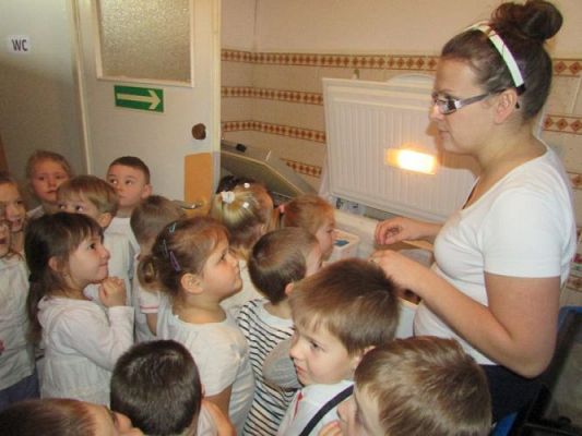 Grafika #34: 16.01.2015 - Zajęcia edukacyjne - Dzień Lodów