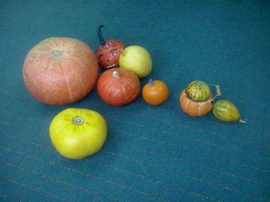 Grafika #0: 24.11.2014 - Dzień Dyni