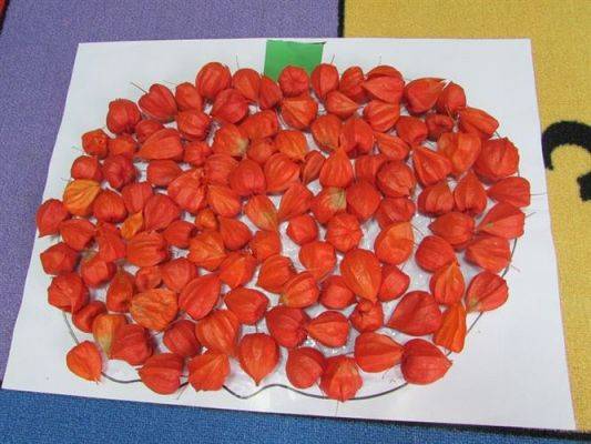 Grafika #46: 24.11.2014 - Dzień Dyni