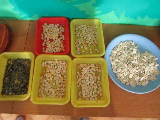 Grafika #69: 24.11.2014 - Dzień Dyni