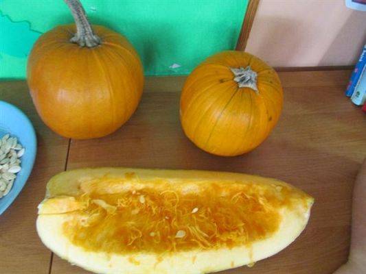 Grafika #70: 24.11.2014 - Dzień Dyni