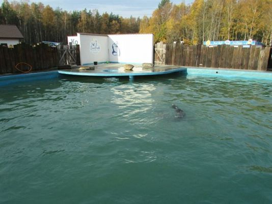 Grafika #10: 05.11.2014 - Wycieczka do Sea Parku w Sarbsku