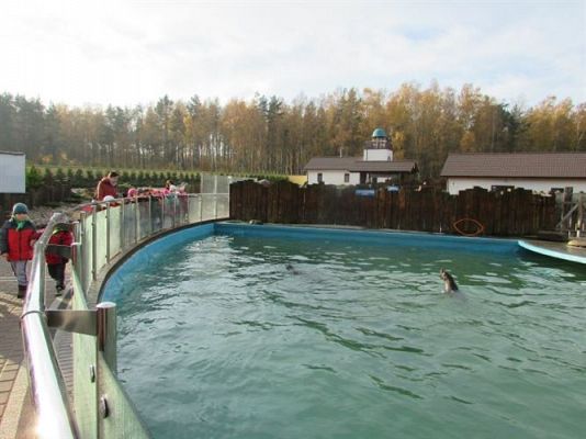 Grafika #11: 05.11.2014 - Wycieczka do Sea Parku w Sarbsku